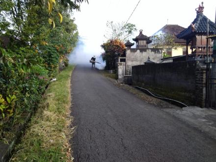 Pemerintah Desa Tinggarsari Melaksanakan Fogging di Desa Tinggarsari